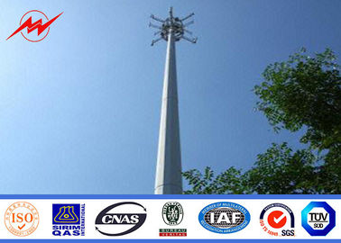 중국 폴란드 전기 단청 탑 내진성 40 피트, 이동 전화 돛대 협력 업체
