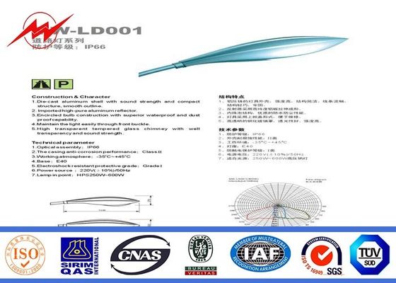 두 배 팔을 가진 옥외 직류 전기를 통한 강철 전화선용 전주 가로등 폴란드