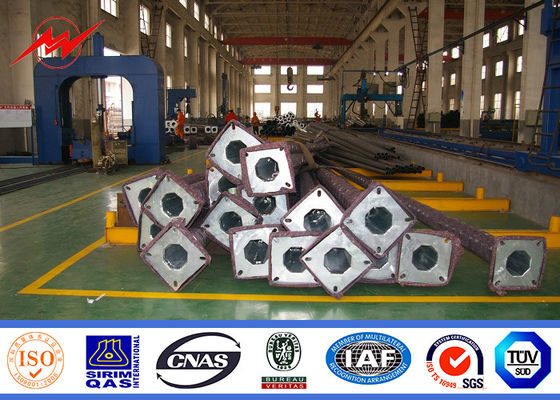 HDG 둥근 장식적인 가로등 폴란드의 배반 팔 상업적인 전등 기둥