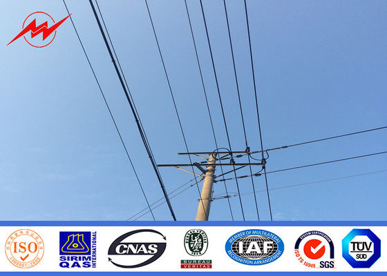 폴란드에 의하여 주문을 받아서 만들어지는 강화된 회화를 끼워넣어 고전압 전력 폴란드