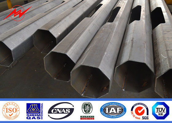 시간 15 년 보장 입히는 HDG12m 가로등 폴란드 옥외 분말