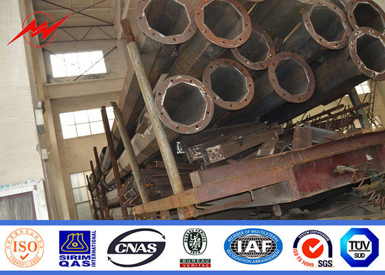 시간 15 년 보장 입히는 HDG12m 가로등 폴란드 옥외 분말