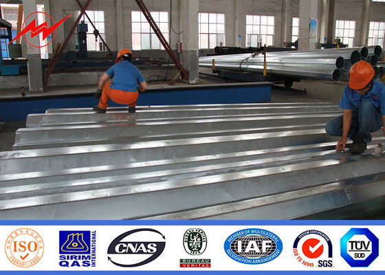 13m 뜨거운 복각 가연 광물을 가진 직류 전기를 통한 정원 전등 기둥 동력선 폴란드