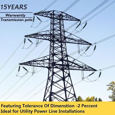 4~8m 커스터마이징 가능한 길이 지진 저항성 다양한 용도로 핫 딥 가લ્પ네이즈 된 거리 조명 기둥